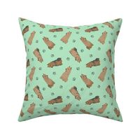 Tiny Australian Terriers - green