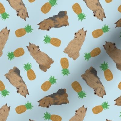 Tiny Australian Terriers - pineapples