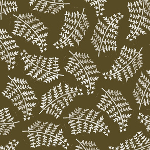 olive ferns