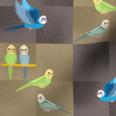 Parakeet Pals