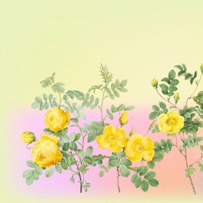 horizontal mirror repeat yellow redoute wild roses on yellow pastel background