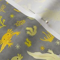 Little Axolotl Yellow & Grey