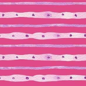 sweetheart stripes hot pink