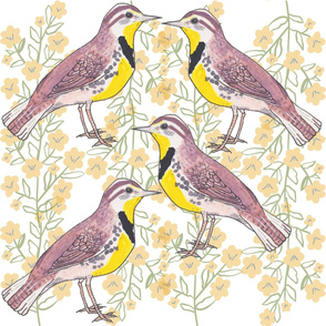 Eastern Meadowlark birds on floral background