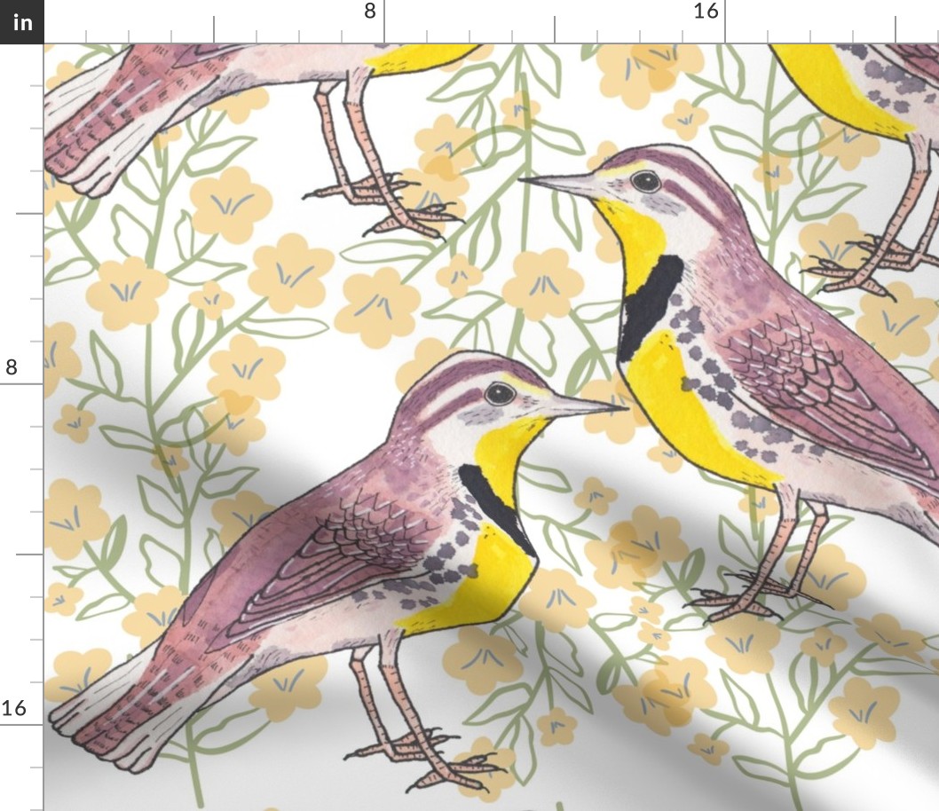 Eastern Meadowlark birds on floral background