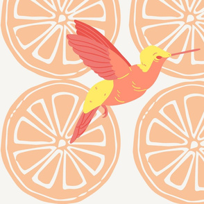 Citrus Hummingbirds