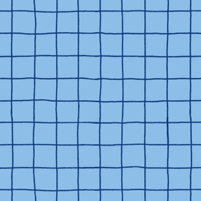 Grid on Sky Blue
