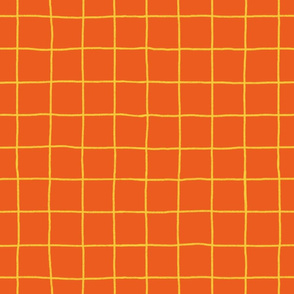 Grid on Orange
