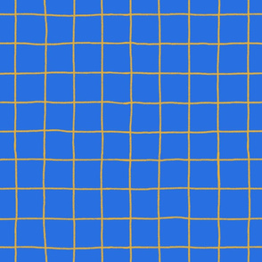 Grid on Blue