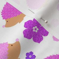 Bigger Scale Girly Pink and Purple Hedgehogs