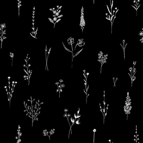 Black Wildflowers