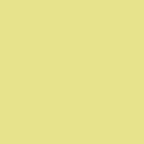 Solid Yellow Pear Color - From the Official Spoonflower Colormap