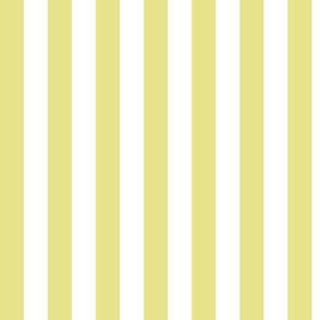 Yellow Pear Awning Stripe Pattern Vertical in White