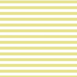 Yellow Pear Bengal Stripe Pattern Horizontal in White