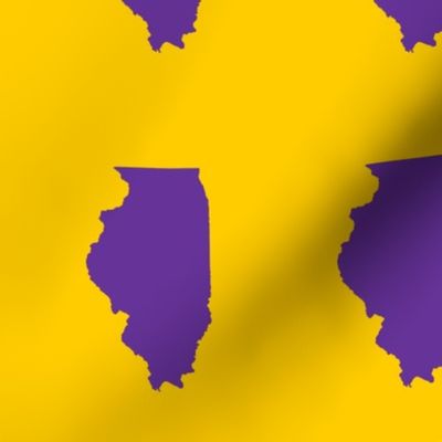 Illinois silhouette in 4.5 x 6" block, college purple on yellow