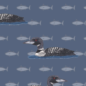 Common Loon over fish pattern