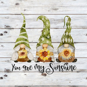 You Are My Sunshine Gnome sham 18 inch square