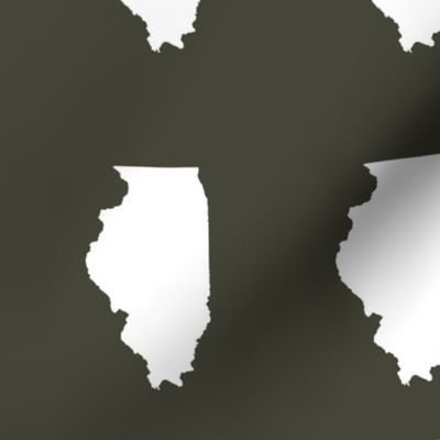 Illinois silhouette in 4.5 x 6" block, white on khaki