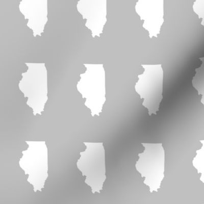 Illinois silhouette in 2 x 3" block, white on silver grey