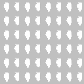 Illinois silhouette in 2 x 3" block, white on silver grey