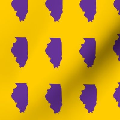 Illinois silhouette in 2 x 3" block, sports purple on yellow