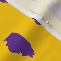 Illinois silhouette in 2 x 3" block, sports purple on yellow