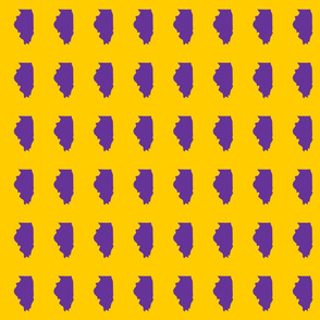Illinois silhouette in 2 x 3" block, sports purple on yellow