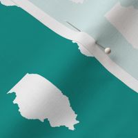 Illinois silhouette in 2 x 3" block, white on teal