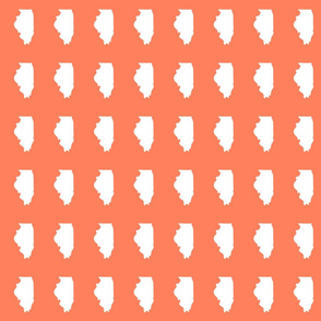 Illinois silhouette in 2 x 3" block, white on coral