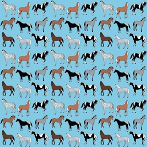 Happy horses blue 6x6