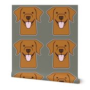 Red fox Labrador on gray