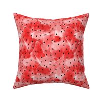 Watermelon Seeds Red