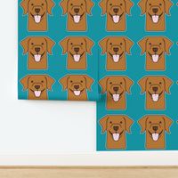 Fox red Labrador on aqua