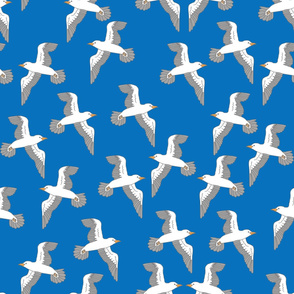 Seagulls in flight indigo bunting blue