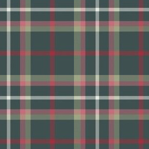 Christmas Plaid in Forest