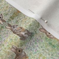 Bunnies in a meadow hand-drawn