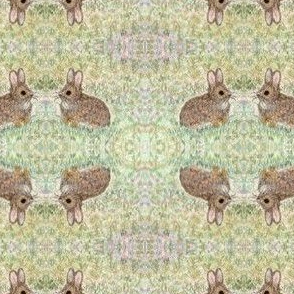 Bunny in a meadow hand-drawn