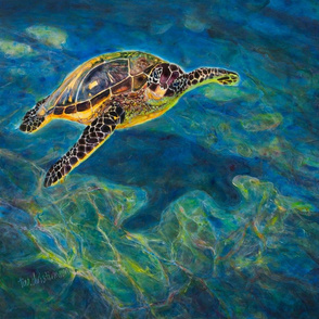 turtle for art entry (2017_04_15 16_53_19 UTC)