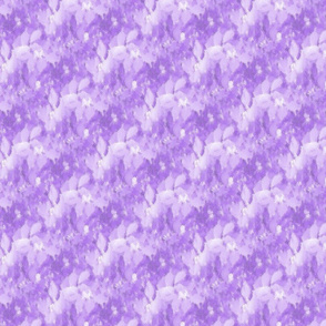 0375_honeysuckle_purple