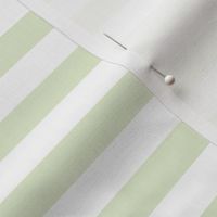 Lime Zest Awning Stripe Pattern Horizontal in White