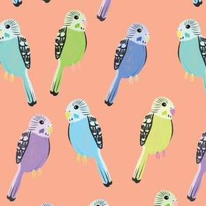 Parakeets (orange background)