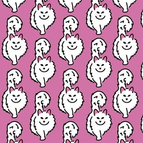 Cats_ White - Fabulously Floofy - PINK