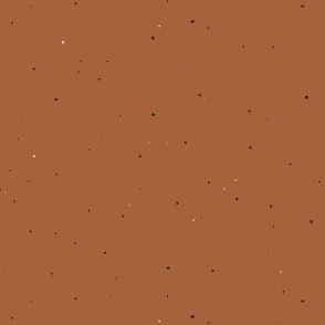 Speckled Clay // Adobe Copper