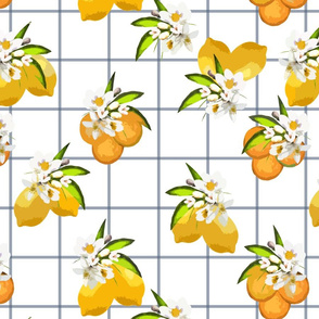 Oranges and Lemons with Flowers, Blue Plaid on White 