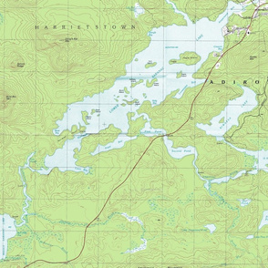 Saranac Lake New York USGS topo map 1979