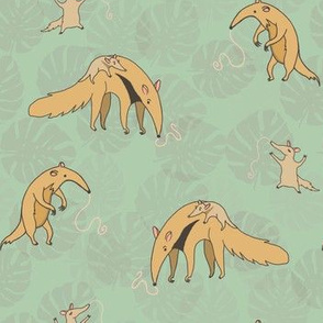 Anteaters- Mums and Babes