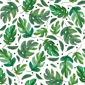 Jumbo Monstera Watercolor Leaves on White