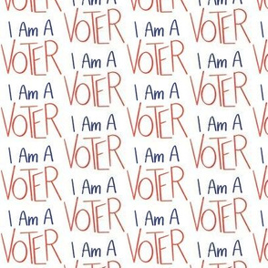 i am a voter