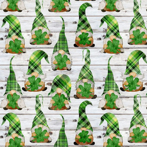 Lucky Four Leaf Clover Gnomes on Shiplap - medium scale
