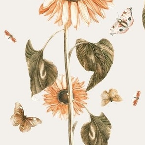 Sunflower on Vanilla // large